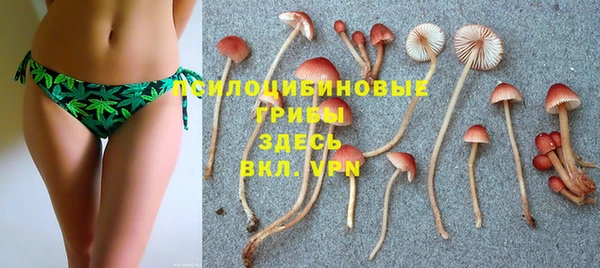 прущая мука Балахна