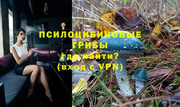 круглые Белокуриха