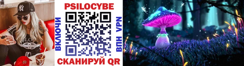 цены   Бор  Галлюциногенные грибы прущие грибы 