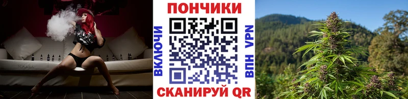 купить   Бор  omg tor  Каннабис план 